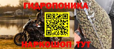 каннабис Гатчина