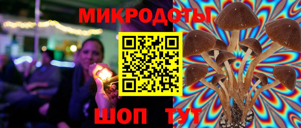 Мыски  Галлюциногенные грибы ЛСД  Галлюциногенные грибы ЛСД  Вход с VPN 